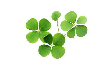 Shamrocks clover leaves St. Patrick's Day celebrating, Set clover shamrock and green clover leaf quatrefoil lucky, isolated on a Transparent background. Generative AI  