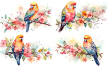 Watercolor Painting Style Illustration Of Parrot Bird On Spring Flower Blossom Tree Isolated On White Background Collection Set, Generative Ai