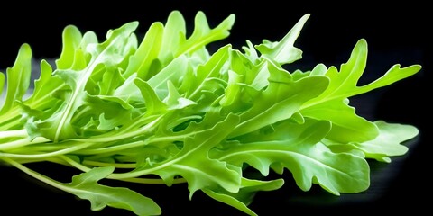 AI generated illustration of fresh green arugula on dark background