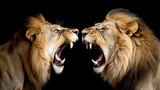 Fototapeta  - AI generated illustration of two African lions roaring on a dark background