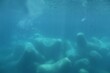 Stunning underwater scene of the ocean floor with rocks