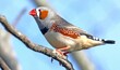 Australian zebra finch perched on a tree branch in a lush outdoor park setting.