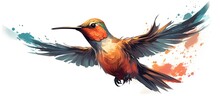 Exotic Hummingbird Hand Drawn Vector Illustration
