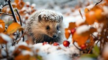 AI Generated Illustration Of A Small Cute Hedgehog In A Snowy Forest