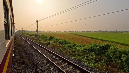 Poster - Forward perspective view of neighboring of the railway track in fields and rural areas with green grass on a sunny day.