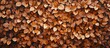 A close-up of a pile of brown leaves on the ground, resembling fallen food ingredients for a dish or staple food in American cuisine.