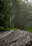 Fototapeta Łazienka - a dirt road surrounded by trees and bushes with a person riding on the bike