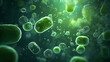 © ma - Various shapes of bacteria, probiotics under microscope, science, medicine concept background
