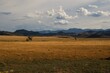 © Wirestock - Scenic view of a lush green field located on the outskirts of Monroe, Utah.