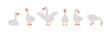 Set of cute farm gooses. Domestic and wild ducks on white background. Agriculture birds. Rural wildlife. Perfect for logo, greeting card and wrapping paper. Vector illustration in flat cartoon style.