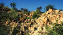 A Steep Rock Face Is Adorned With Patches Of Bright Green Foliage.