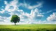 colorful summer spring landscape with lonely tree on field background