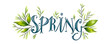 © Наталья Зюбр - Banner with the inscription 'Spring' with green leaves on a white background. Artistic, elegant logo. Minimalistic illustration in blue and green colors.