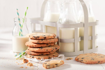 Wall Mural - Sweet and crunchy vanilla cookies with chocolate chips.