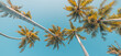 © icemanphotos - Best tourism vacation design, palm trees under soft sunset sunlight. Panoramic nature background, happy summer spring travel landscape. Bright pastel colors, artistic natural colors relax tranquil sky