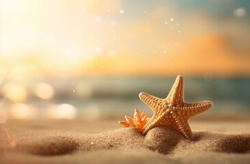 Wall Mural - Starfish on beach with sunset light