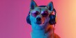 Shiba Inu dog (doge) wearing sunglasses and headphones on colorful background for summer music and podcasting concept