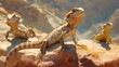 Central bearded dragons bask on sunlit rocks, exhibiting their distinctive reptilian features and textures.