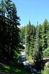 Wall Mural - Three Sisters Wilderness Area in Deschutes/Willamette National Forest