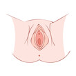 © Ihor - Anatomy of the vagina. Medical design. Vector illustration.