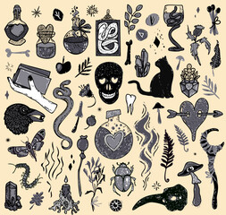 Set with mystical objects. Crystal, hand, witch hat, cat, love potion and others. Hand drawn vector illustration.