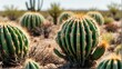 Bush of Organ Pipe cactus on plain white background from Generative AI