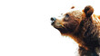Clipart bear digital vector graphic.