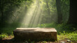 Stone Bench in Forest Clearing