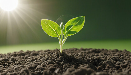 Wall Mural - Young plant thriving in garden under the sun