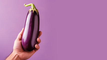 Wall Mural - Hand holding eggplant vegetable isolated on pastel background