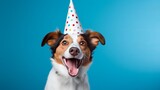 Fototapeta  - Cute dog celebrating with red pary hat and blow-out against a blue background and copy space to side