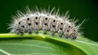Macro Shot of Fuzzy Caterpillar on Leaf AI Generated.