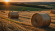 Field of freshly bales of hay with beautiful sunset