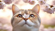 花の頭に桜の花を付けたペットの猫