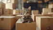 Curious Cat Amidst Cardboard Kingdom, watchful cat sits perched atop a cardboard box, surrounded by a maze of parcels, capturing the playful curiosity and exploration of domestic felines in a homely