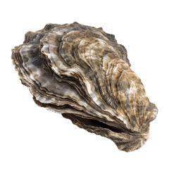 Sticker - Oyster shell, transparent background, isolated image, generative AI