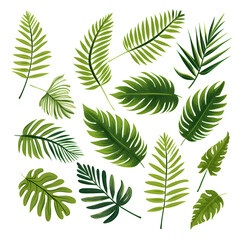  Set of tropical leaves, vector, watercolor, variety, ornamental, transparent background.