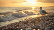 Ein Seevogel oder Meersvogel oder Möve steht am Strand und schaut auf das Meer während die Sonne aufgeht oder untergeht
