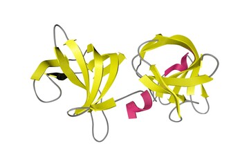 Poster - Crystal structure of the cell wall targeting domain of peptidylglycan hydrolase ALE-1. Ribbons diagram in secondary structure coloring based on protein data bank entry 1r77. 3d illustration