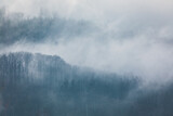 Fototapeta Niebo - Las w chmurach
