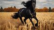A black stallion running in a field