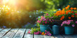 Spring, summer. Colorful flower pots with flowers, watering can and gloves. A banner with a place for the text