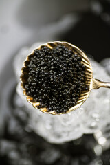 Wall Mural - Black Caviar in golden spoon on ice. High quality natural sturgeon black caviar close-up. Delicatessen. Texture of expensive luxury caviar over gray background. Vertical image, top view 