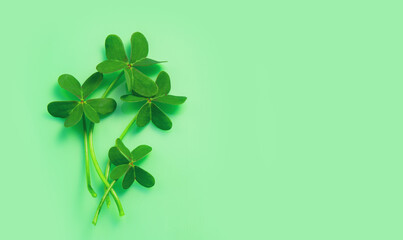 Wall Mural - St. Patrick's Day background decorated with shamrock leaves. Patrick Day pub party celebrating. Abstract Border art design backdrop. Widescreen clovers on green with copy space. Top view , flat lay. 