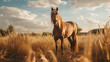 A horse standing in a field of tall grass