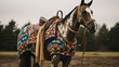 A horse with a patterned saddle blanket