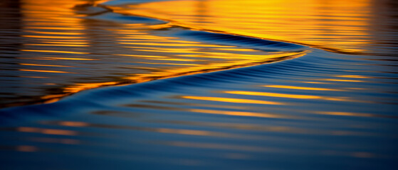 Canvas Print - A beautiful swamp