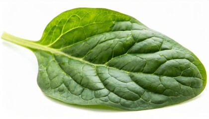 Wall Mural - spinach leaf isolated