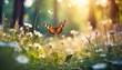 abstract summer nature background blooming wild grass and a flying butterfly in the forest at sunset