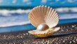 beautiful pearl in the pearl shell on the shining black sand beach sea and blue sky
